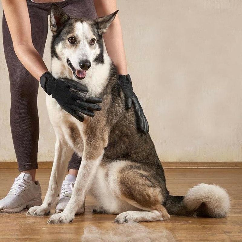 Calm Coat Grooming Gloves