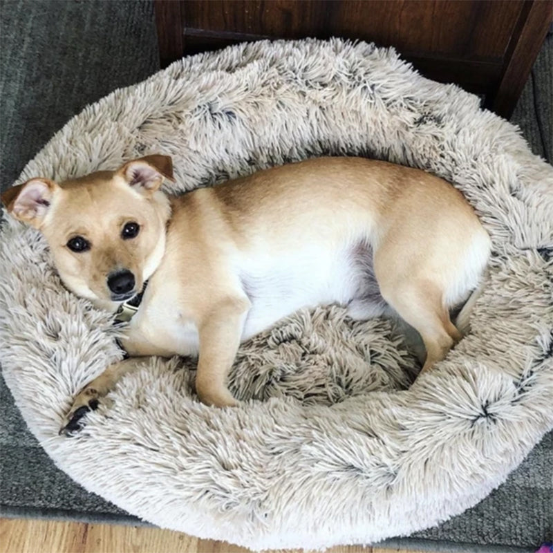 The Calm Cloud Bed