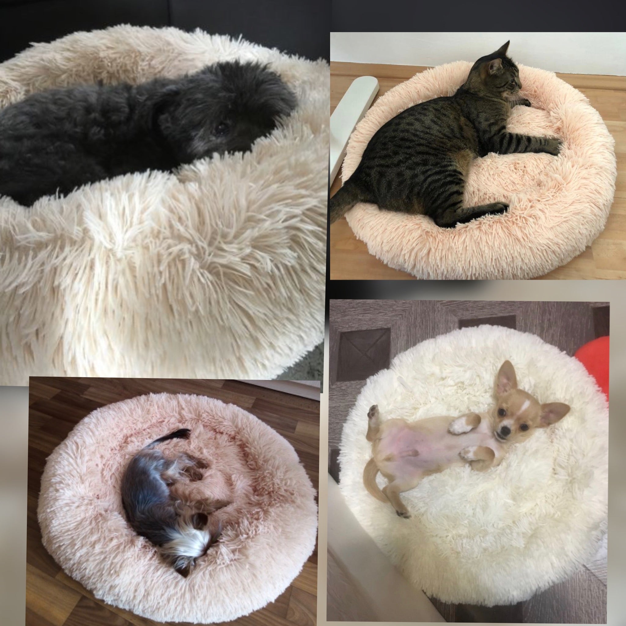 The Calm Cloud Bed